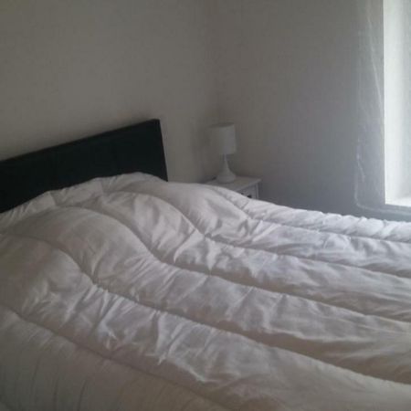 Gite Picarrou Cintegabelle Buitenkant foto